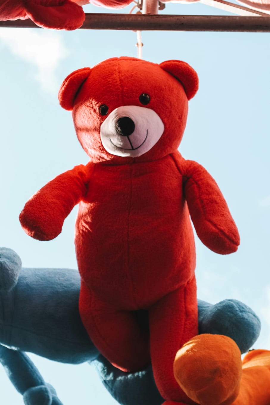 Red teddy